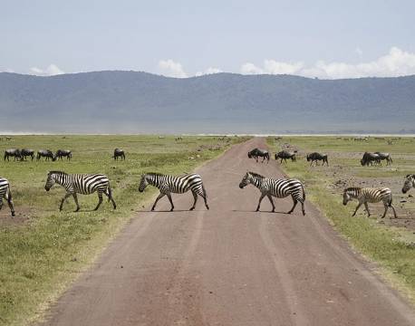 Ngorongoro krateret Tanzania africa tours