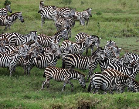Lake Mburu Uganda africa tours