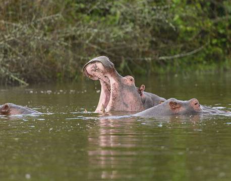 Lake Mburu Uganda africa tours