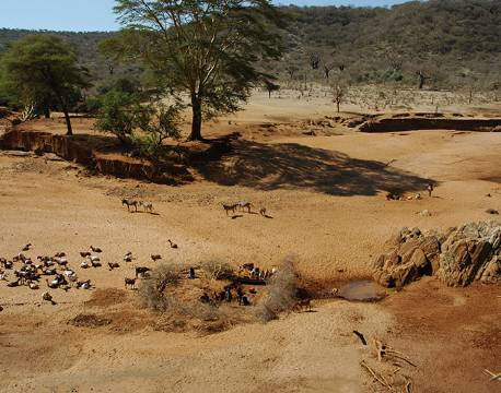 Lake Eyasi Tanzania africa tours