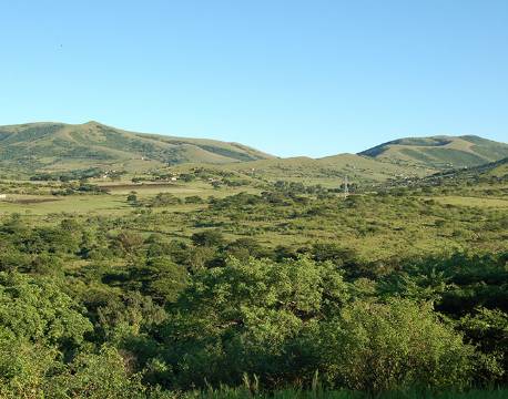 Landskab, Zululand, Sydafrika africa tours