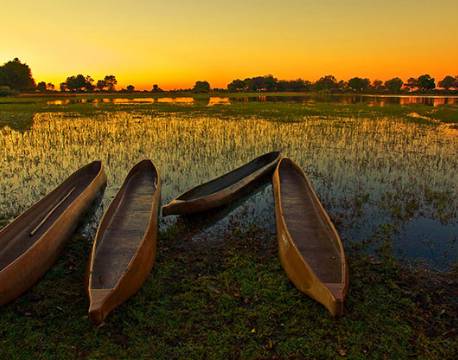 Mokoros, Okavango floden, Botswana africa tours