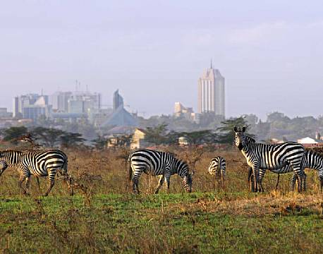 Nairobi National Park kenya africa tours