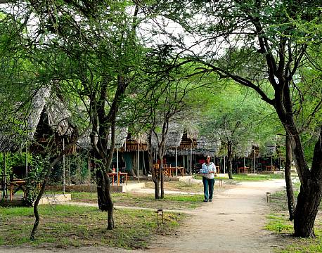 Tarangire Safari Lodge, Tarangire, Tanzania 4 africa tours
