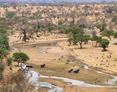 Tarangire Safari Lodge, Tarangire, Tanzania 7 africa tours