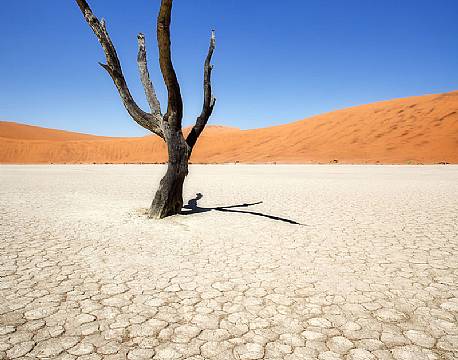 Deadvlei, Namibia africa tours