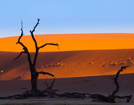 Deadvlei, Namibia africa tours