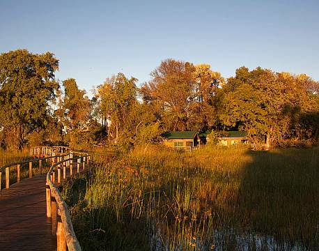 Gunns Camp botswana 5 africa tours