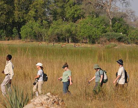 Gunns Camp botswana 11 africa tours