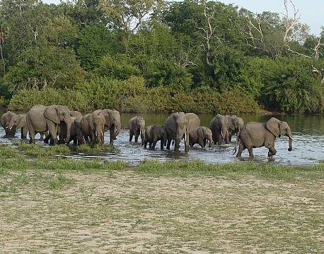 Nyerere vildreservat tanzania africa tours