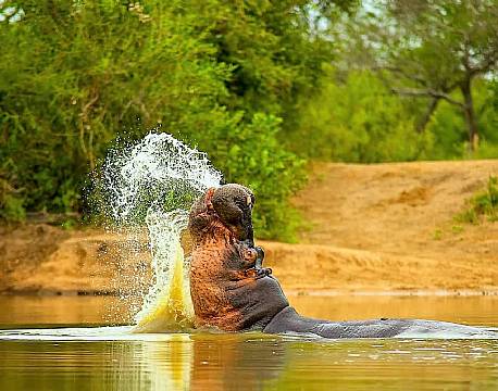 Klaserie Naturreservat sydafrika africa tours