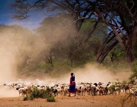 Amboseli kenya africa tours