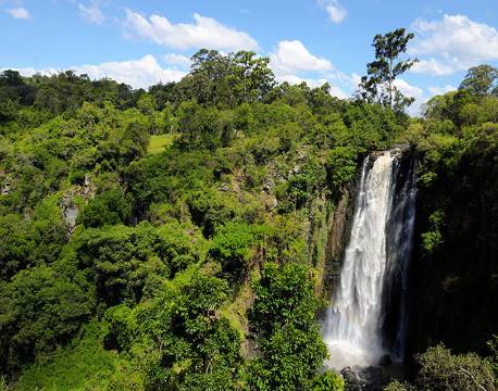 Aberdare højlandet kenya africa tours