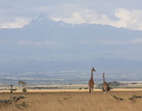 Aberdare højlandet kenya africa tours
