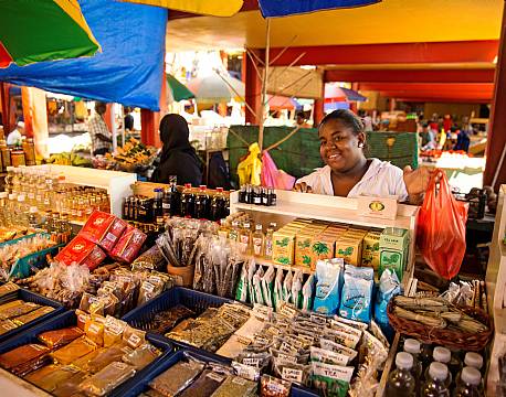 Seychellerne indiske ocean africa tours