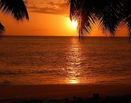 Seychellerne indiske ocean africa tours