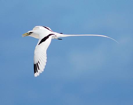 Seychellerne indiske ocean africa tours