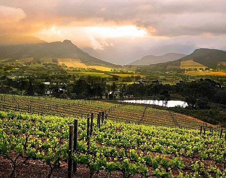Vinlandet SA sydafrika africa tours