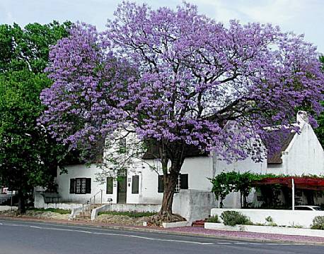 Vinlandet SA sydafrika africa tours