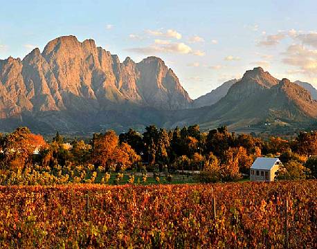 Vinlandet SA sydafrika africa tours