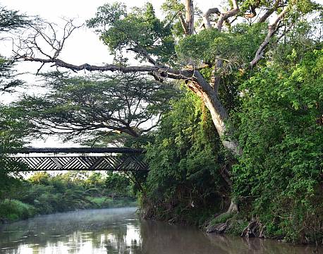  Mara Fig Tree Camp, Masai Mara, Kenya 6 africa tours