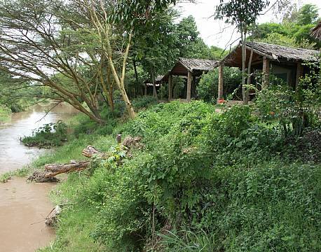  Mara Fig Tree Camp, Masai Mara, Kenya 13 africa tours
