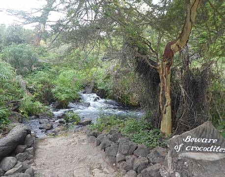 Tsavo Kenya africa tours