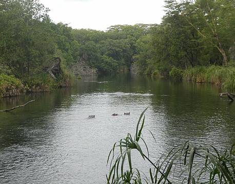Tsavo Kenya africa tours