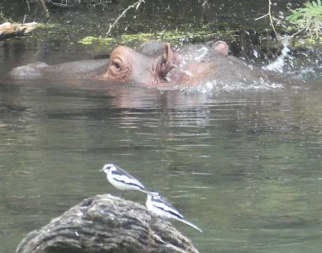 Tsavo Kenya africa tours