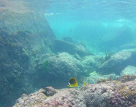 Seværdighed Praslin Seychellerne indisk ocean africa tours