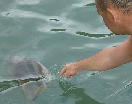 Seværdighed Praslin Seychellerne indisk ocean africa tours