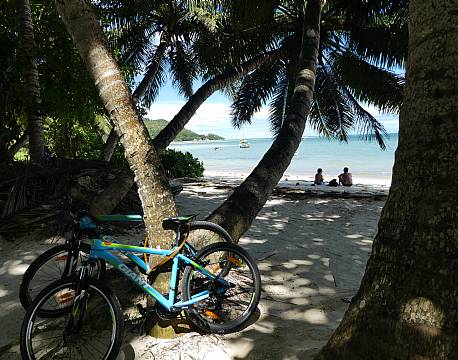 Seværdighed Praslin Seychellerne indisk ocean africa tours