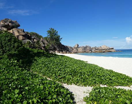 Seværdighed La Digue Seychellerne indiske ocean africa tours