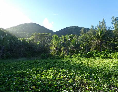 Seværdighed La Digue Seychellerne indiske ocean africa tours