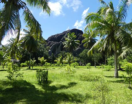 Seværdighed La Digue Seychellerne indiske ocean africa tours