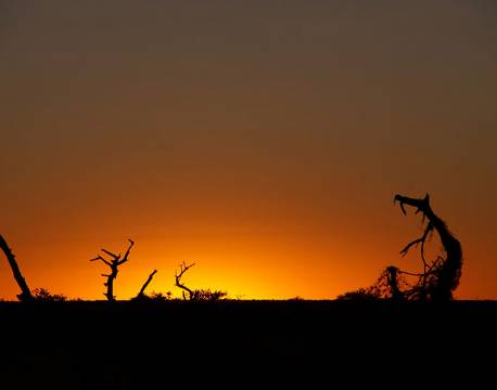Solnedgang i Etosha nationalpark, Namibia africa tours