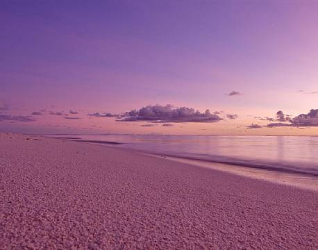 Seværdighed Bird Island indiske ocean africa tours