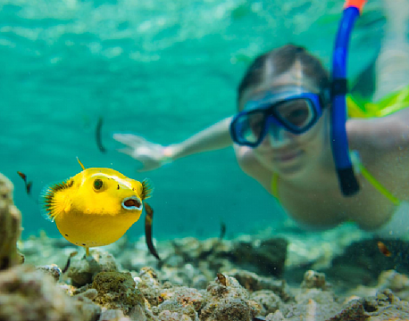 Bird Island lodge seychellerne 16 africa tours