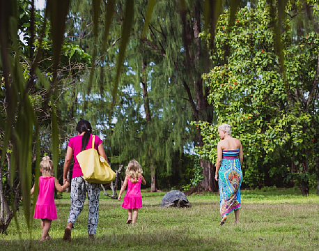 Bird Island lodge seychellerne 7 africa tours