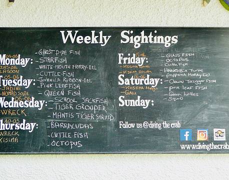 Sands of Nomad Mombasa Diani Beach Kenyakysten africa tours