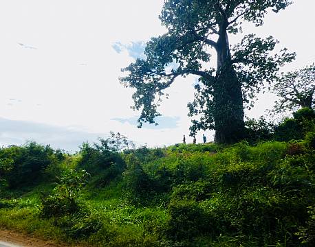 Seværdighed Kilifi, Watamu og Malindi indisk ocean africa tours