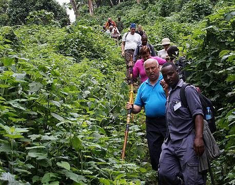 Bwindi Uganda africa tours