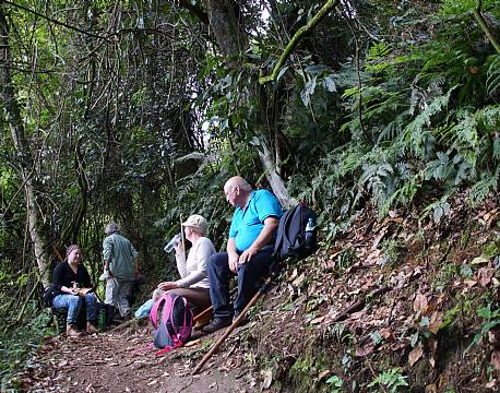 Bwindi Uganda africa tours