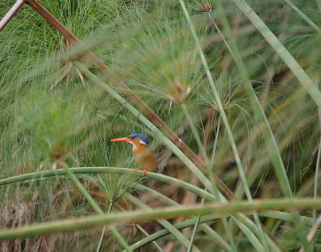 Lake Mburu Uganda africa tours