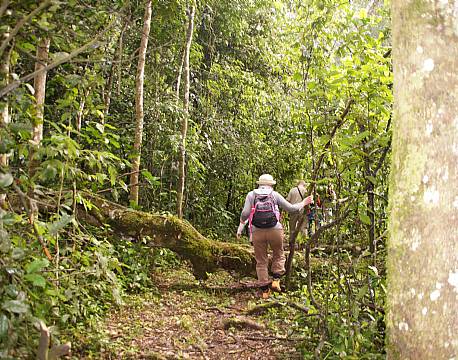 Kibale Uganda africa tours