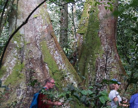 Kibale Uganda africa tours