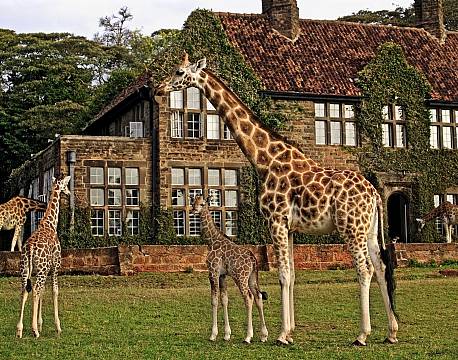 Giraffe Manor kenya 1 africa tours