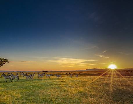 Mara North Conservancy kenya africa tours