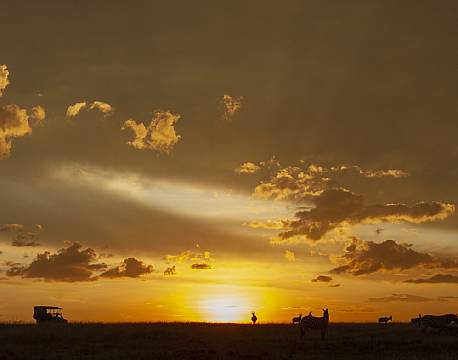 Mara North Conservancy kenya africa tours