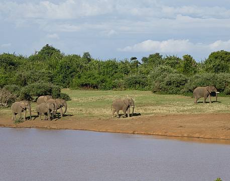 Aberdare højlandet kenya africa tours